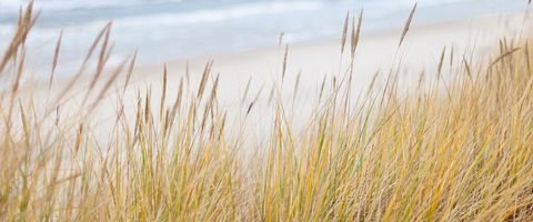 Dünen am Strand